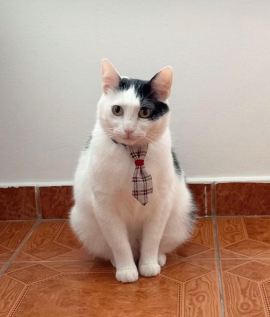 WhatsApp Image 2025-09-10 at 10.39.26 (5)