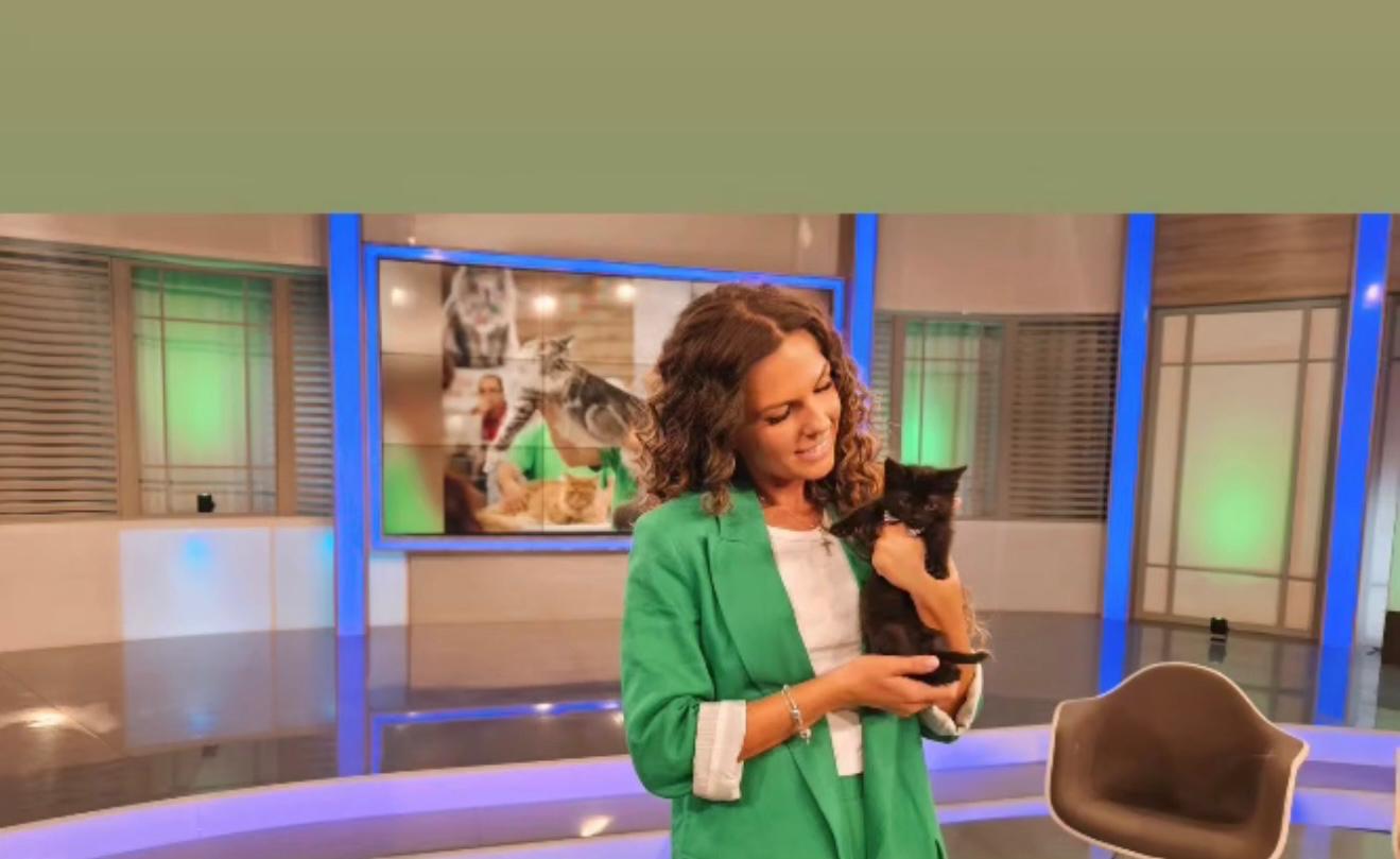 WhatsApp Image 2025-09-10 at 10.39.26 (7)