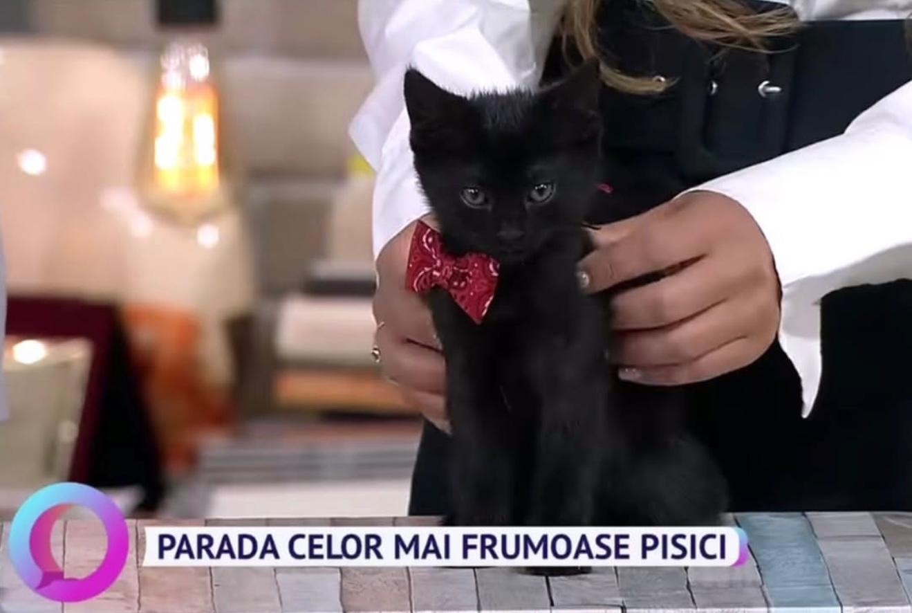 WhatsApp Image 2025-09-10 at 10.39.27 (1)