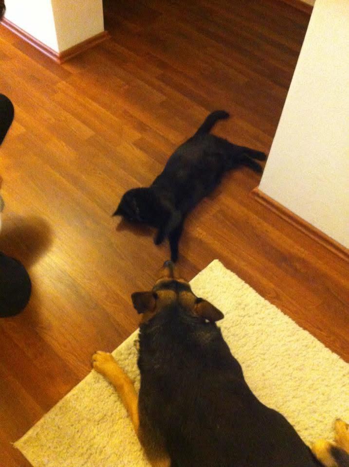 WhatsApp Image 2025-09-10 at 10.39.27 (5)