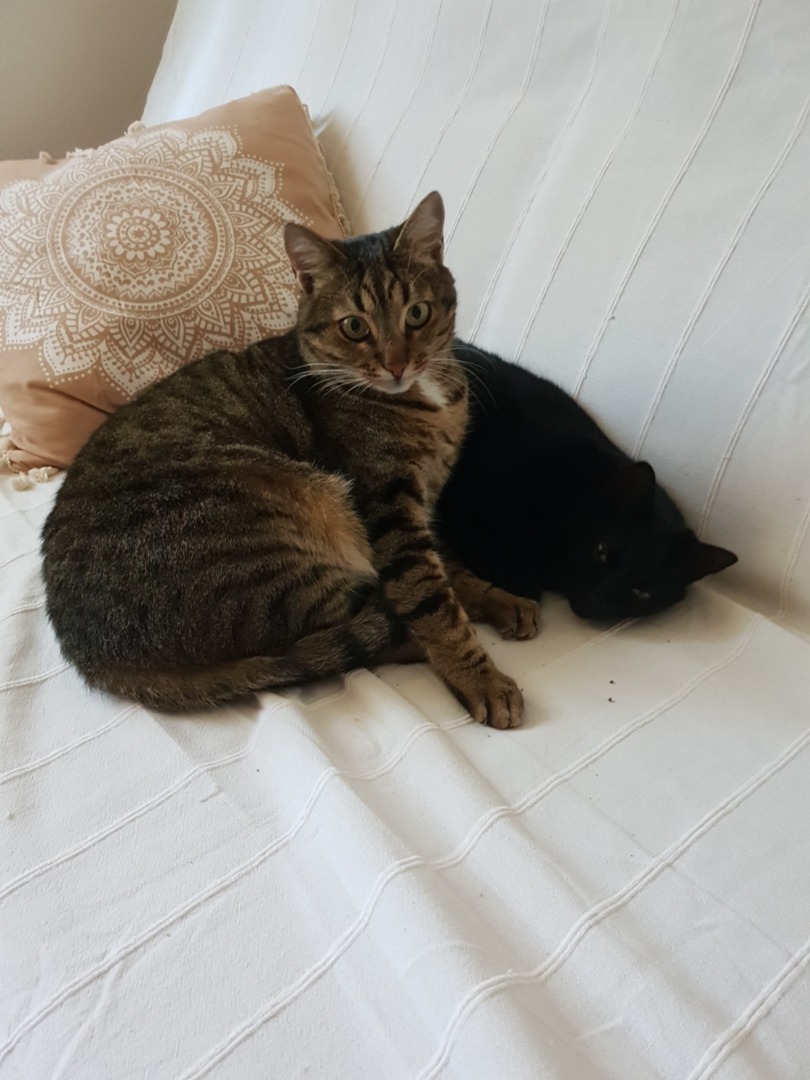 WhatsApp Image 2025-09-10 at 10.39.27 (6)