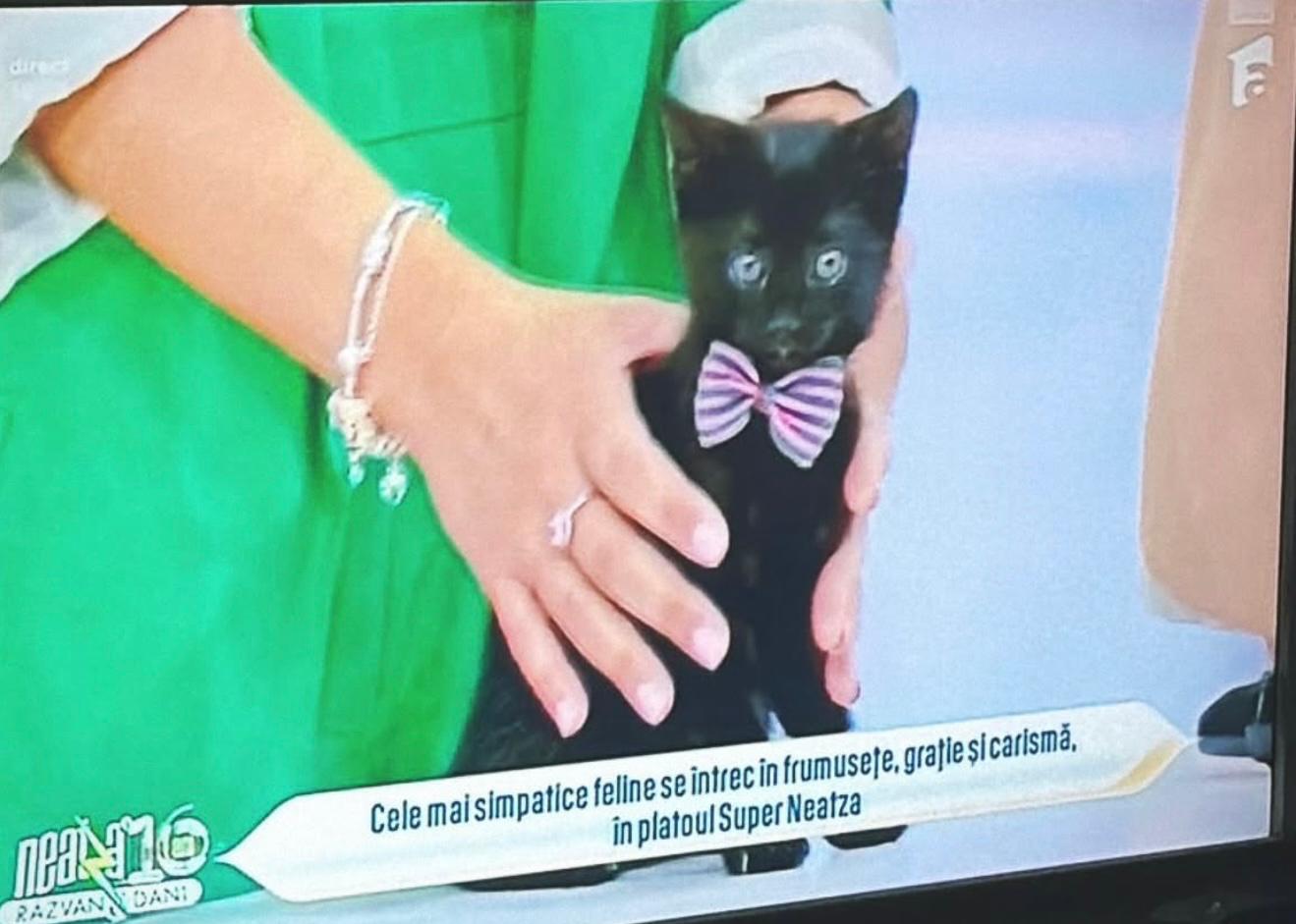 WhatsApp Image 2025-09-10 at 10.39.27