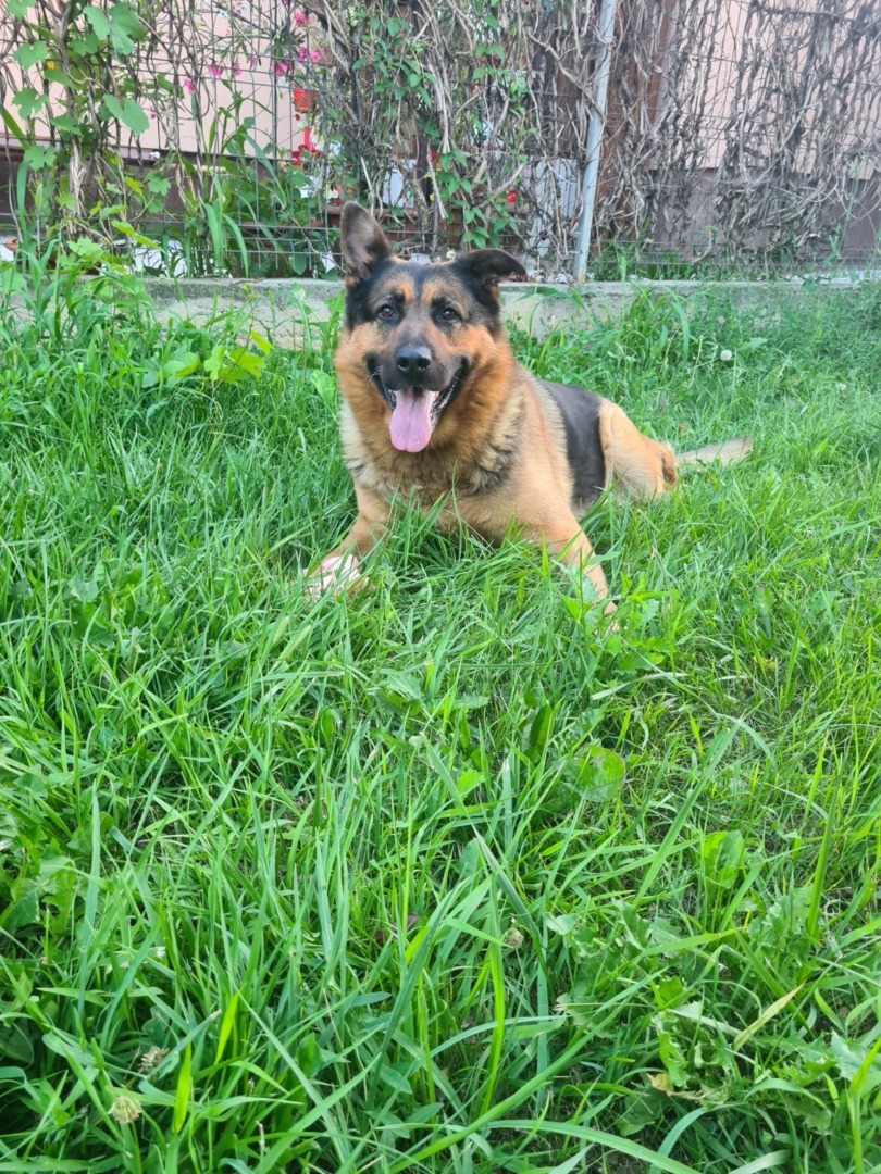 WhatsApp Image 2025-09-10 at 10.39.28 (1)