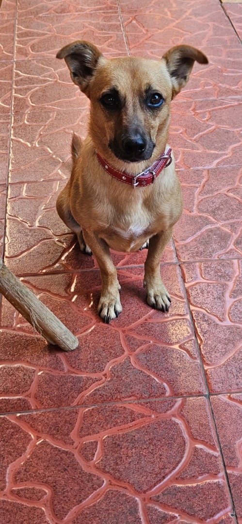 WhatsApp Image 2025-09-10 at 10.39.28 (2)