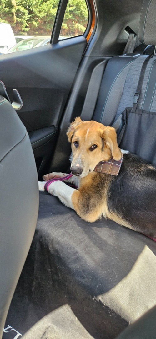 WhatsApp Image 2025-09-10 at 10.39.28 (3)