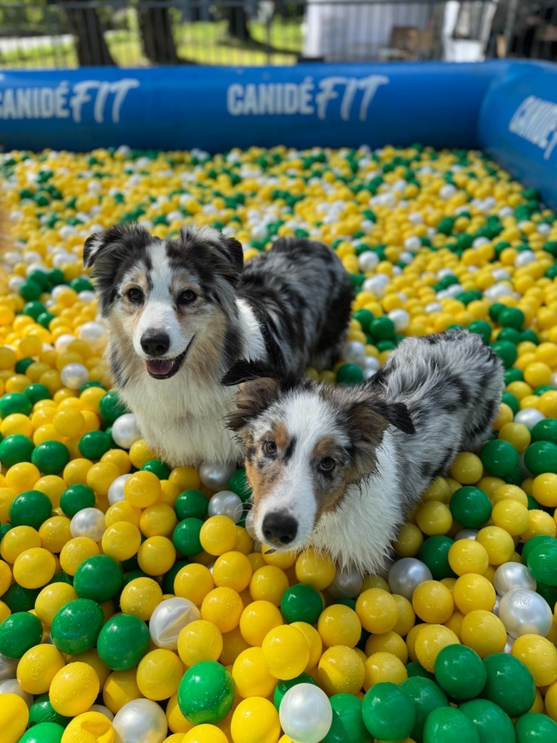 WhatsApp Image 2025-09-10 at 12.41.27 (2)