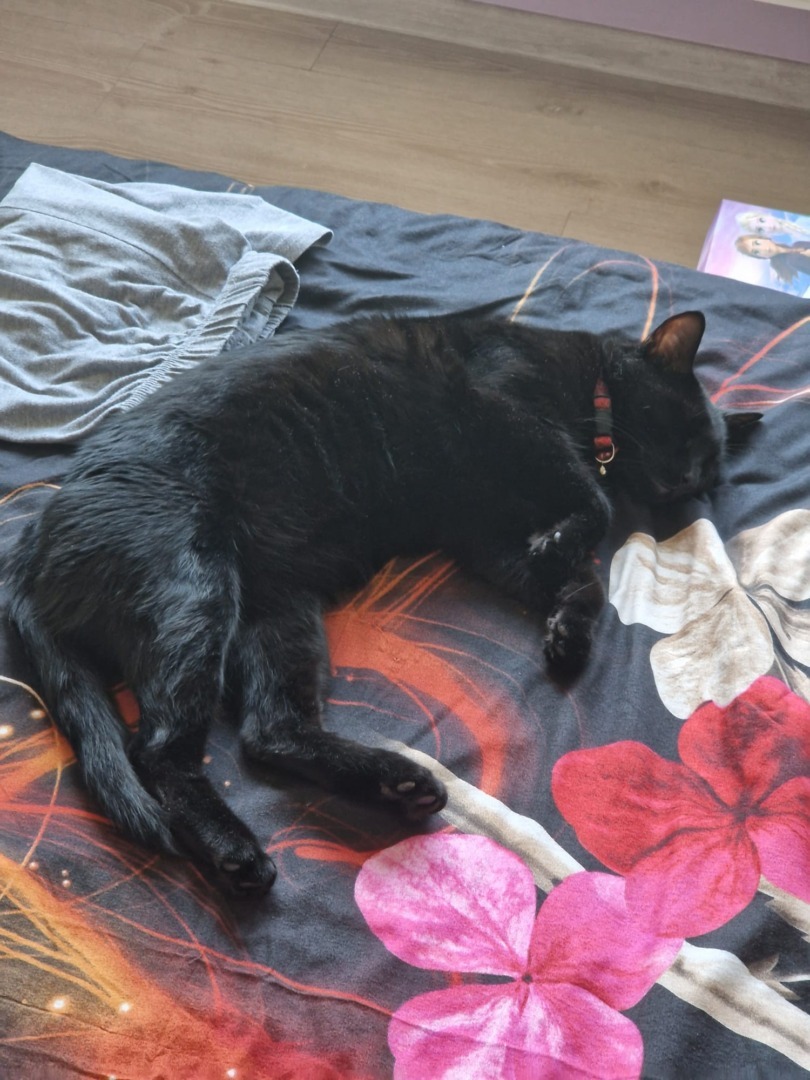 WhatsApp Image 2025-09-12 at 14.39.25 (1)