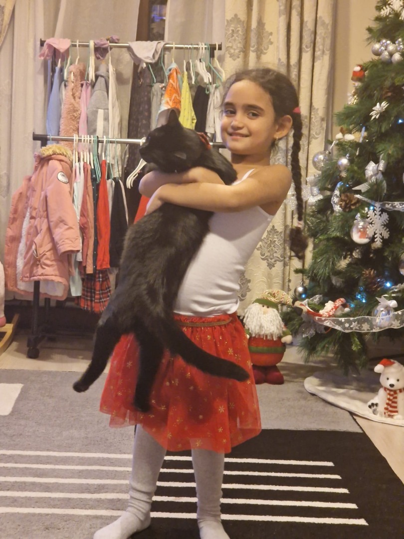 WhatsApp Image 2025-09-12 at 14.40.37