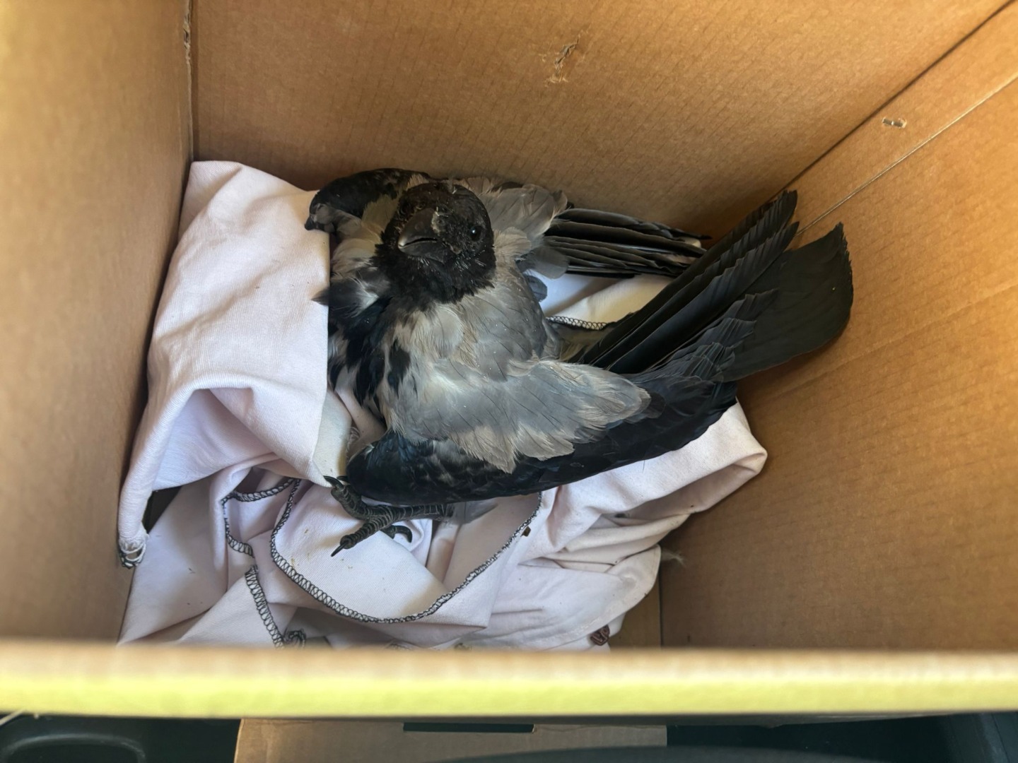 WhatsApp Image 2025-09-16 at 13.59.56