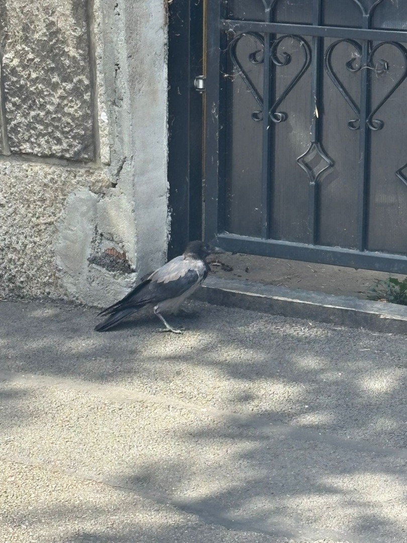 WhatsApp Image 2025-09-16 at 14.02.05