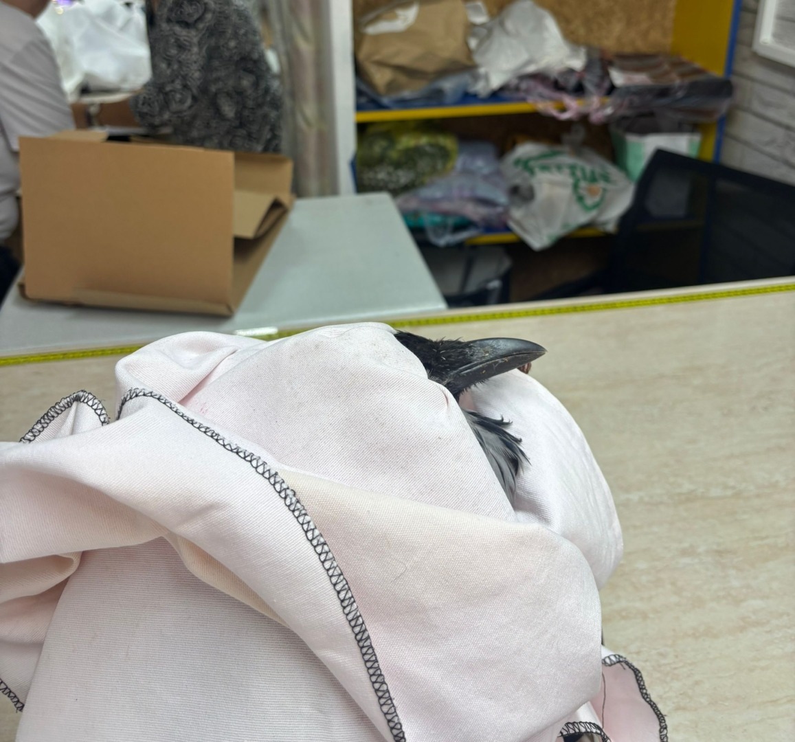 WhatsApp Image 2025-09-16 at 14.02.26