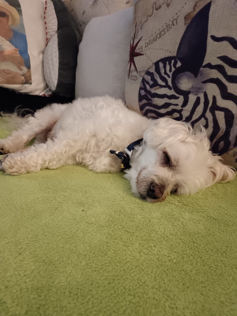 WhatsApp Image 2025-09-17 at 17.51.35 (5)