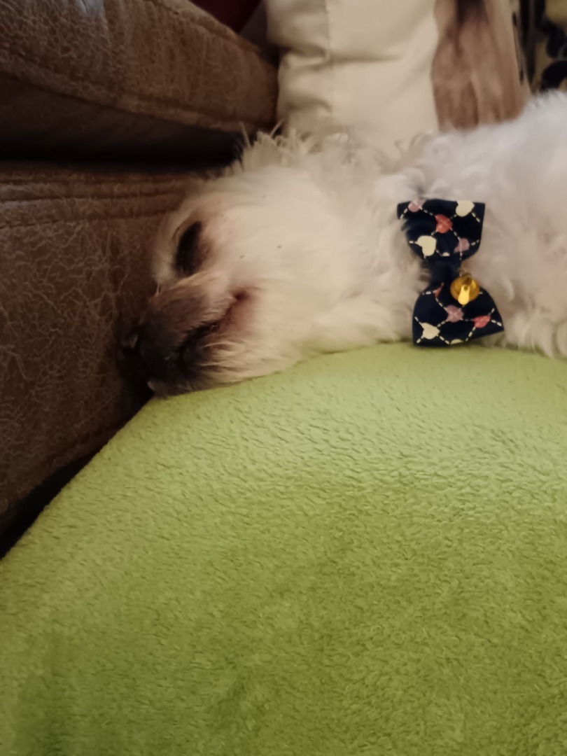 WhatsApp Image 2025-09-17 at 17.51.35 (6)