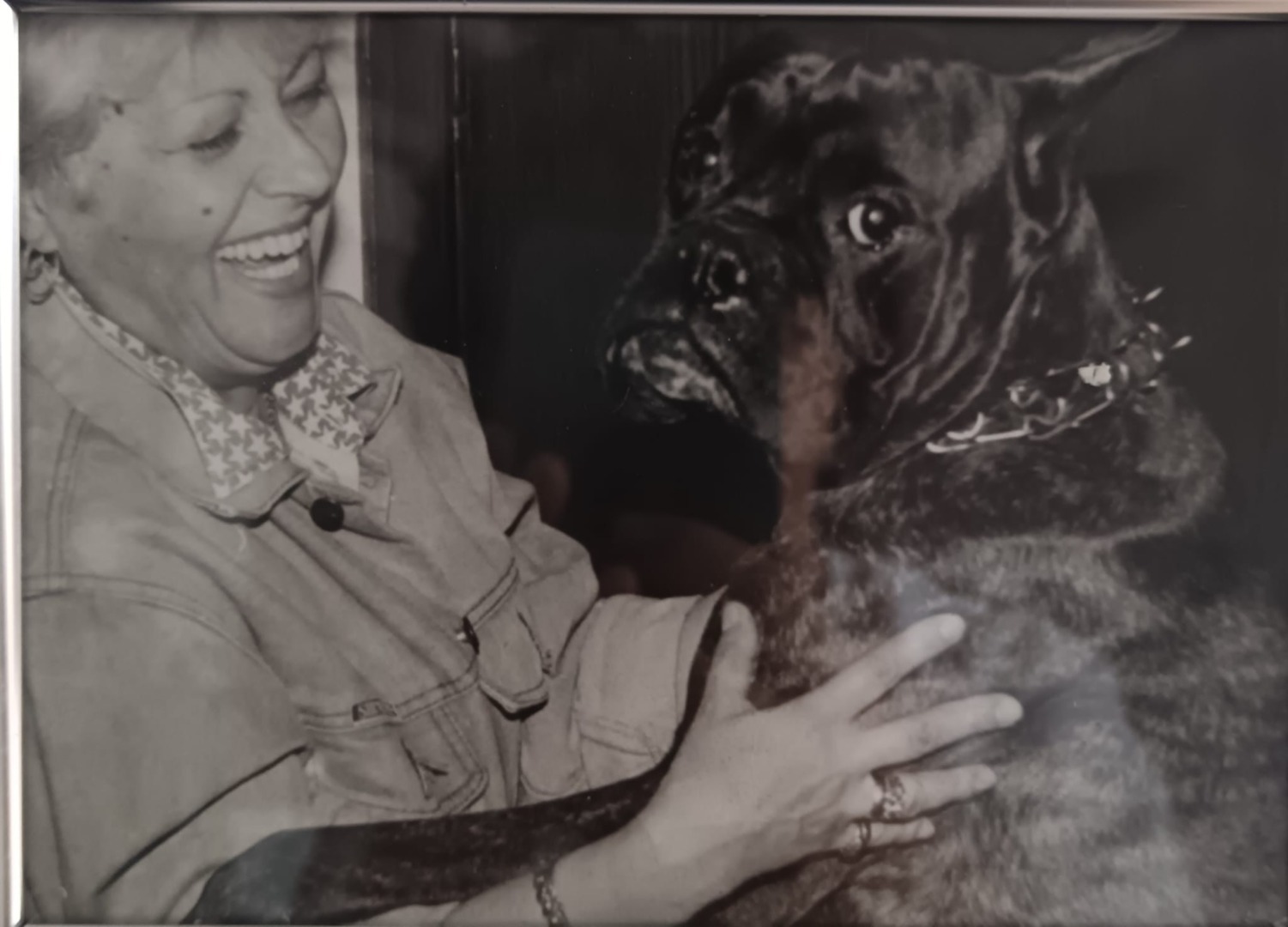 WhatsApp Image 2025-09-17 at 17.51.36 (6)