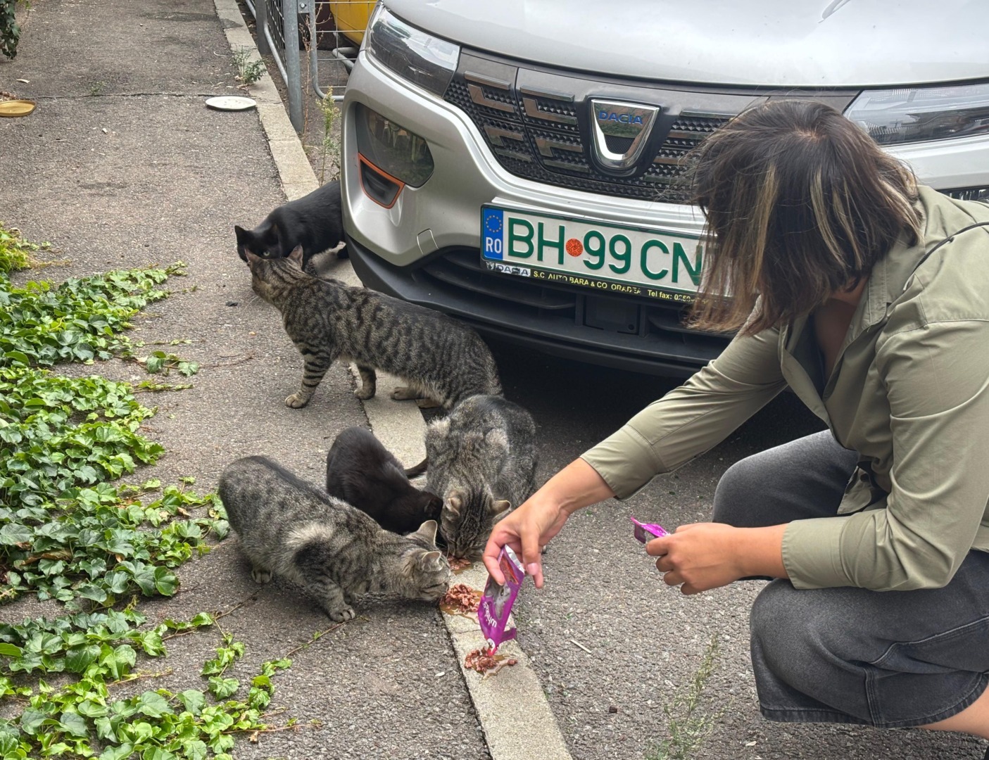 WhatsApp Image 2025-09-26 at 14.12.28