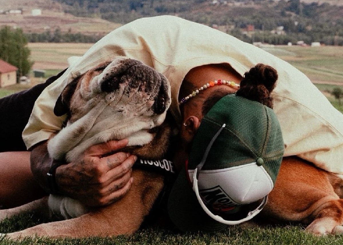 cainele lui lewis hamilton