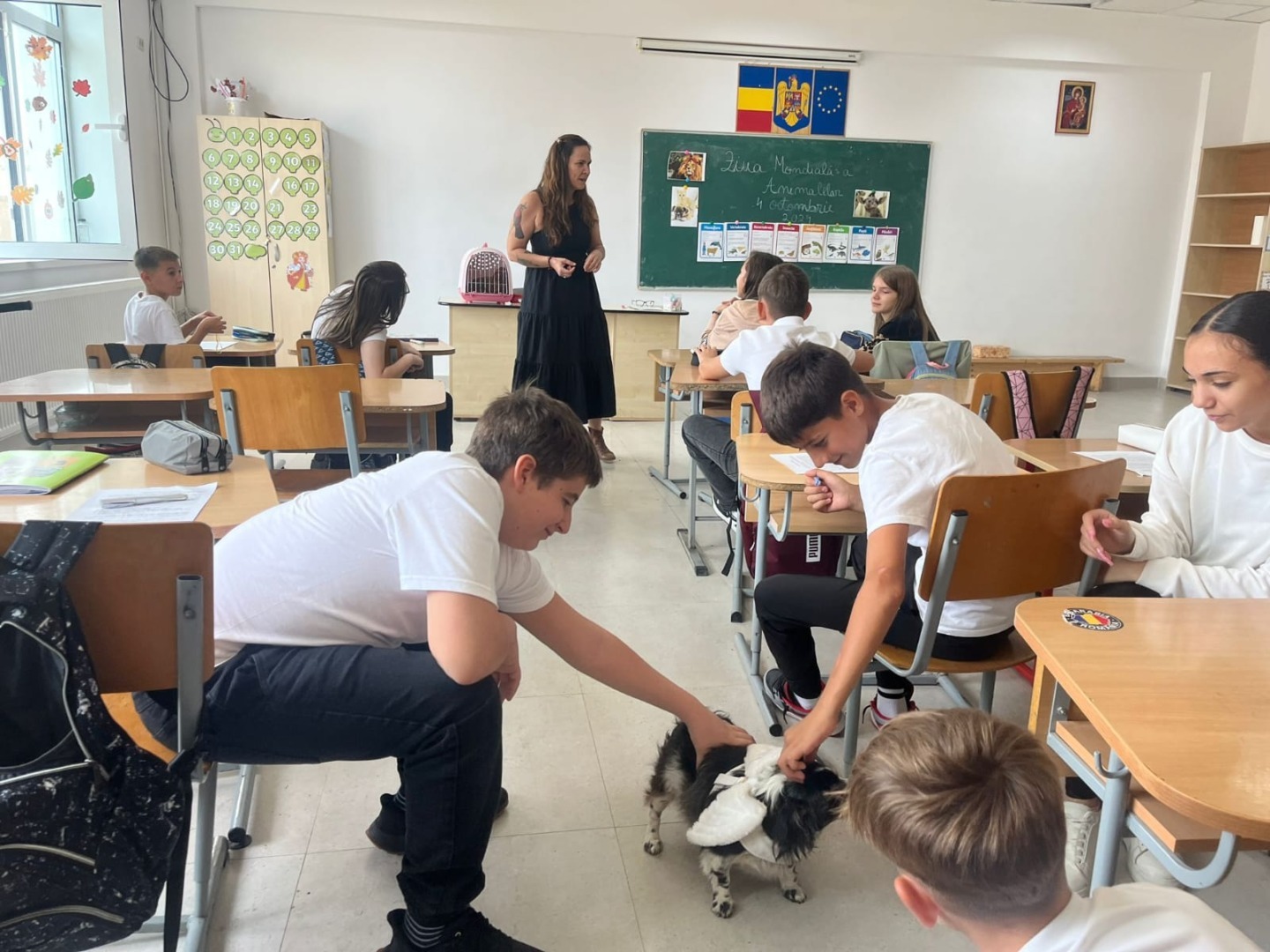 a1c96f54-fc53-496e-be01-9613e30cc00c