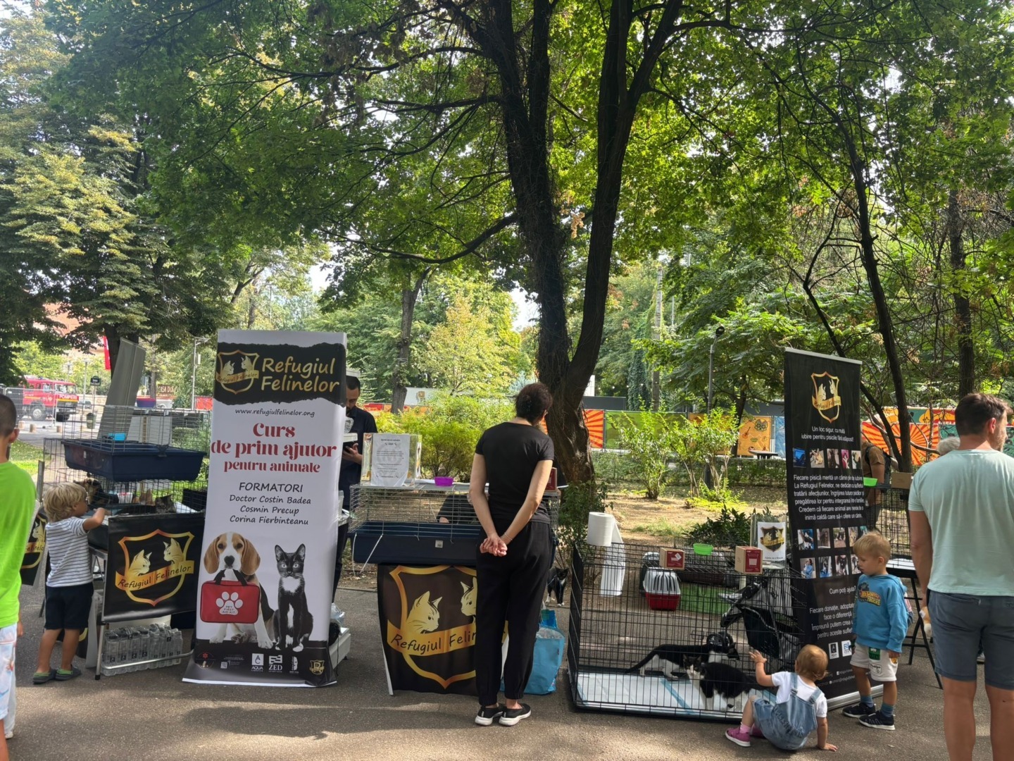 b88ec9a6-a9a6-4dd0-a935-12d750fe7a1c