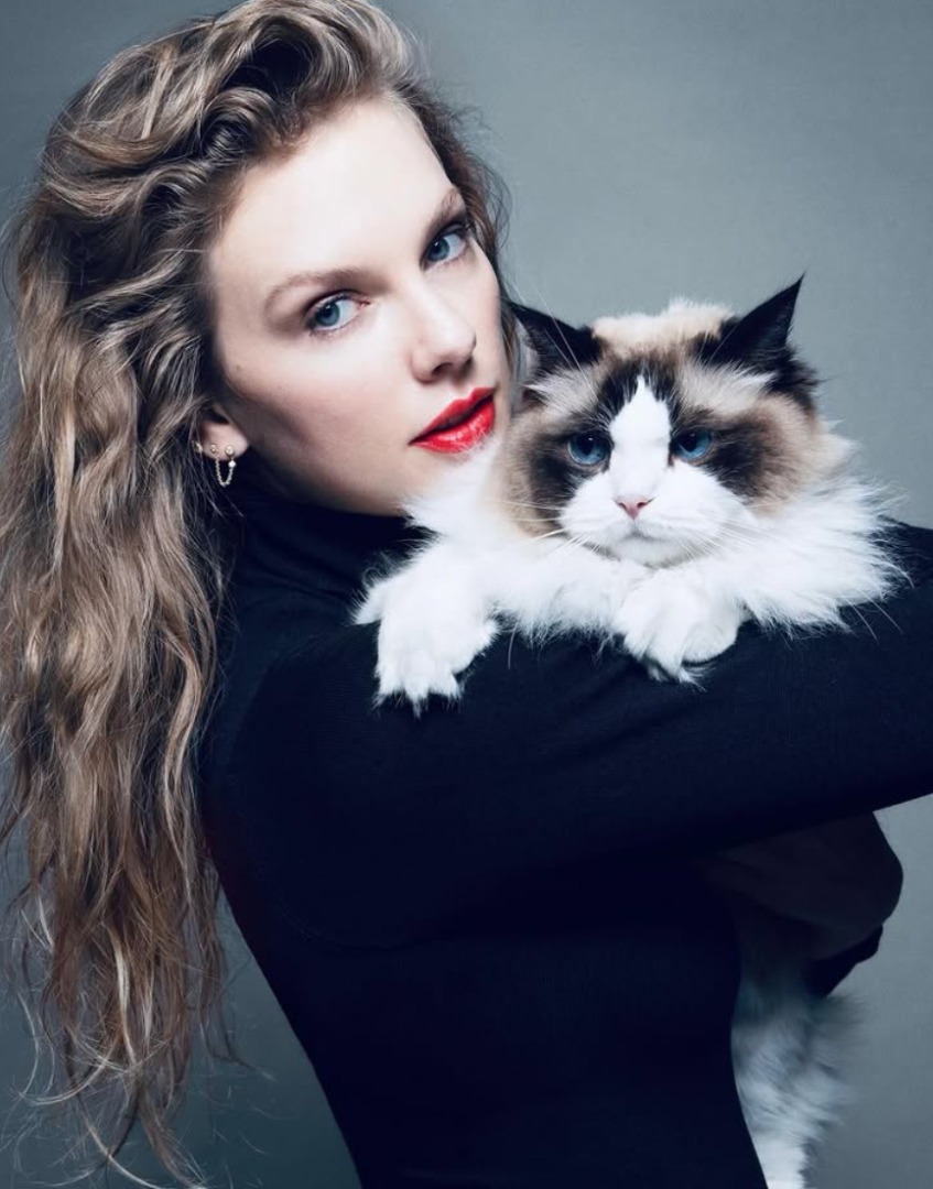 Benjamin Button, pisica lui Taylor Swift.