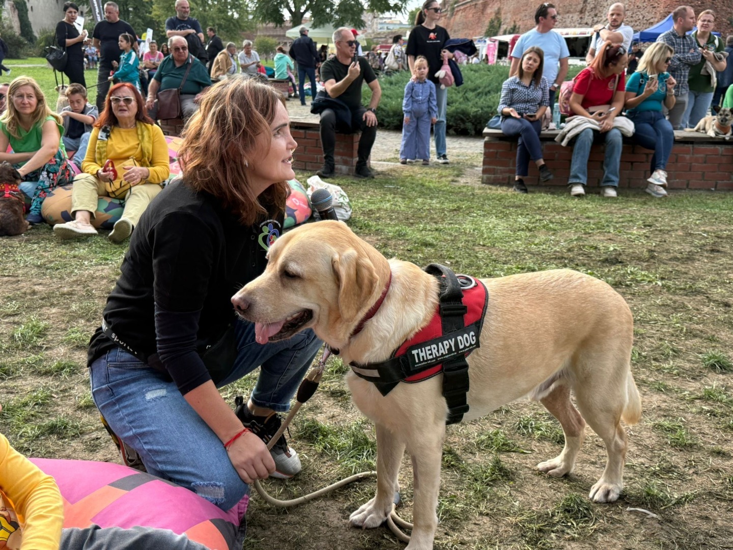 Câine de terapie la un festival canin