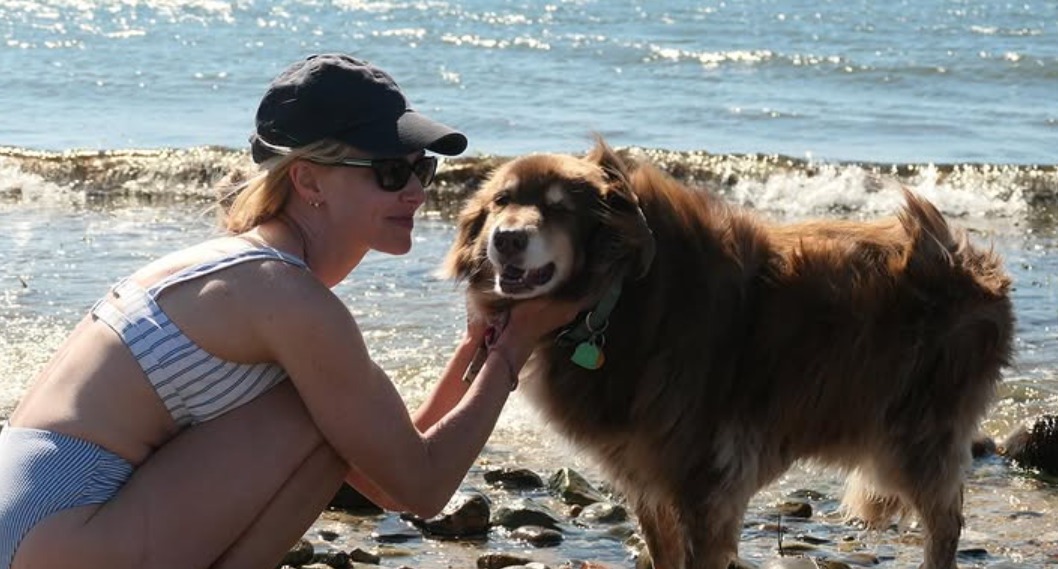 Finn, câinele ciobănesc australian al actriței Amanda Seyfried.