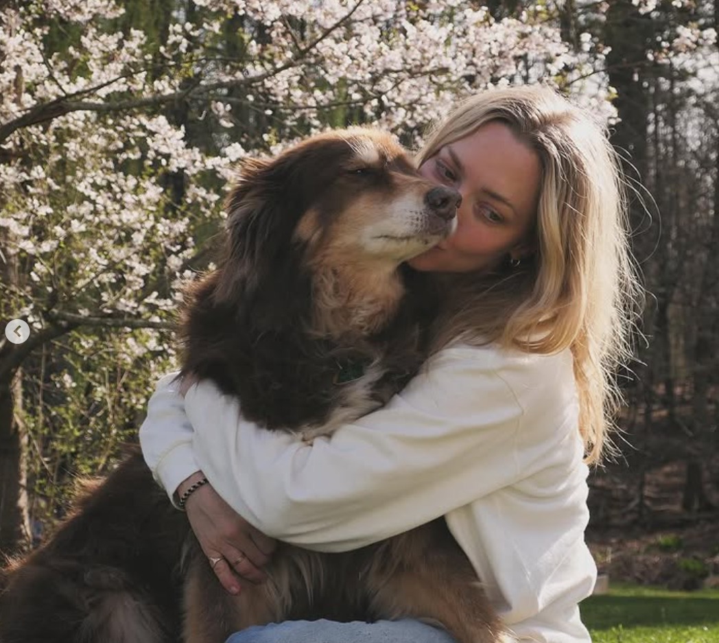 Finn, câinele ciobănesc australian al actriței Amanda Seyfried.