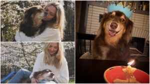 caine-finn-actrita-amanda-seyfried-mingey-instagram-fotocolaj