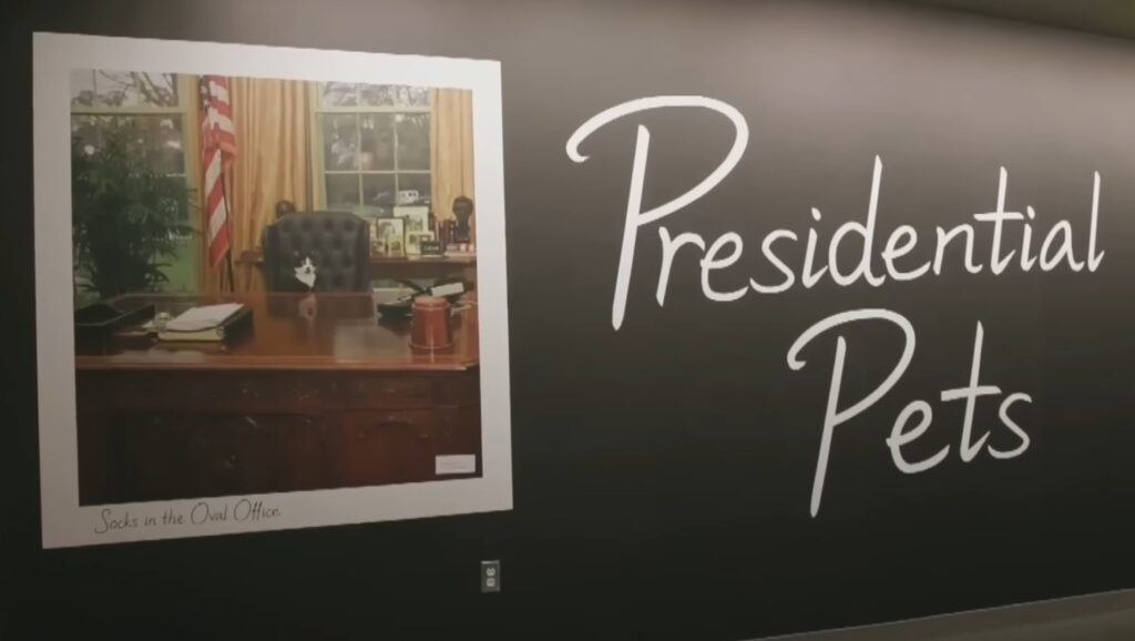 Afiș expoziție - animalele de companie ale președinților Americani