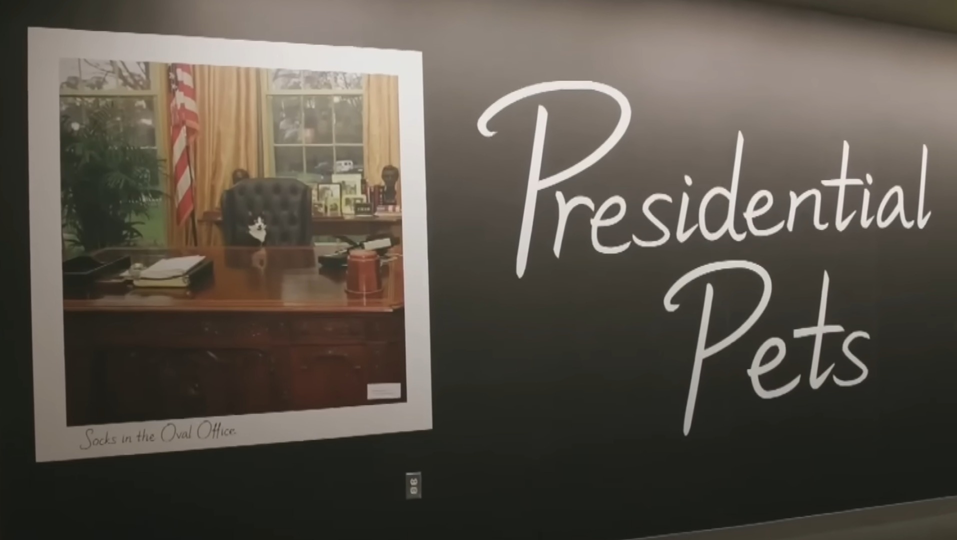 Afiș expoziție - animalele de companie ale președinților Americani