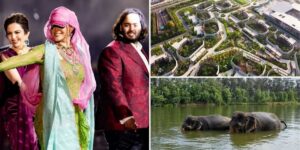 gradina zoologica privata