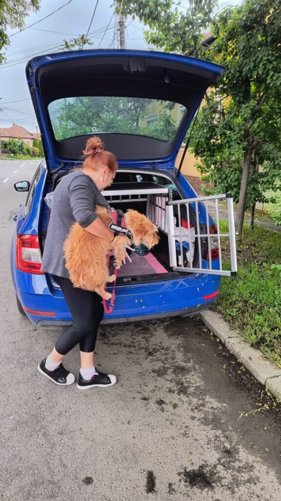 claudia-tirlea-harmony-