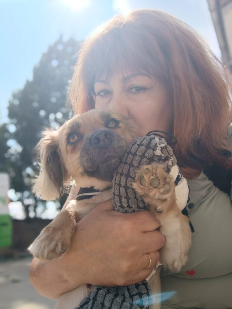 claudia-tirlea-harmony