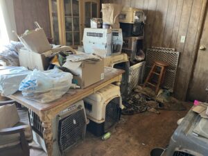 Cuțti pentru animale ținute în condiții precare