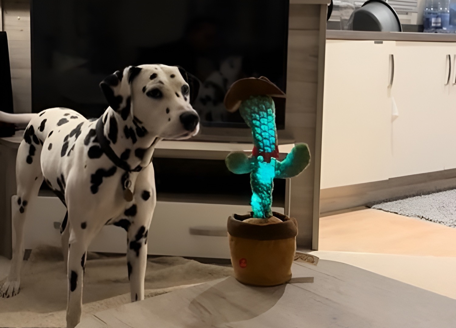 Un dalmațian se uită atent la un cactus de jucărie