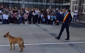 Un câine în curtea școlii, în fața unei mulțimi de elevi și a primarului din Iași