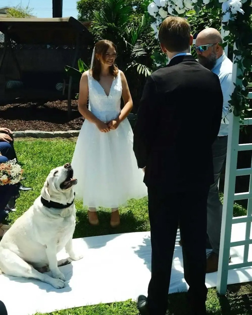 downloadgram.org_540132104_18529272283023375_4157912177288337135_n