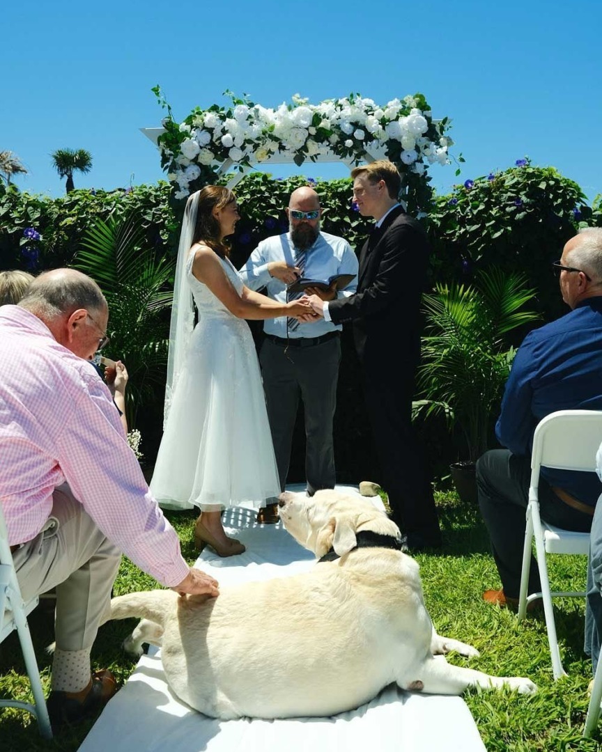 downloadgram.org_541443895_18529272301023375_4658563053363972427_n