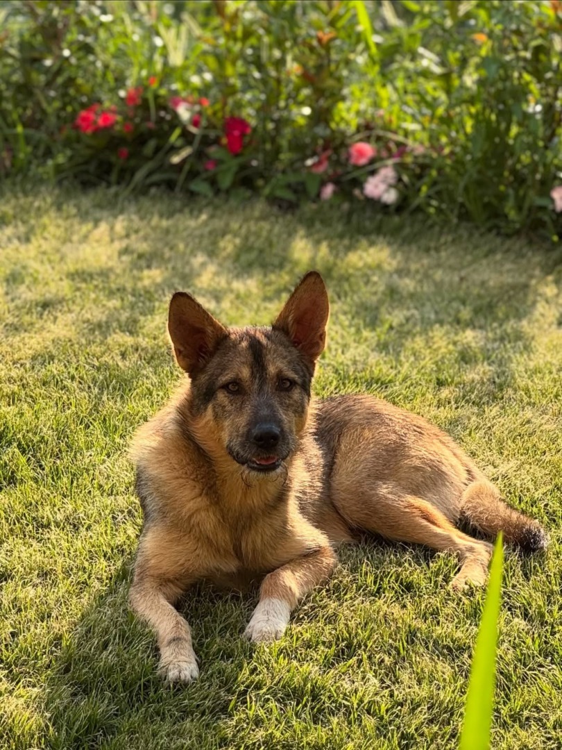 downloadgram.org_543666551_18539784763039588_1043792136613617868_n