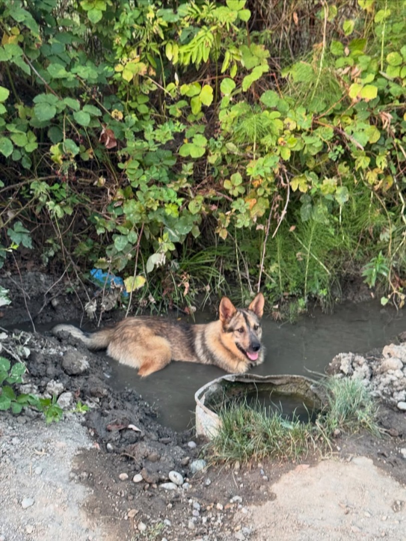 downloadgram.org_543669401_18539784901039588_2210249983877130507_n