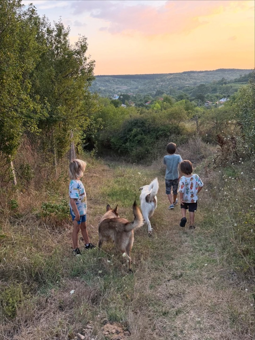 downloadgram.org_543755601_18539784802039588_6239208915003005724_n