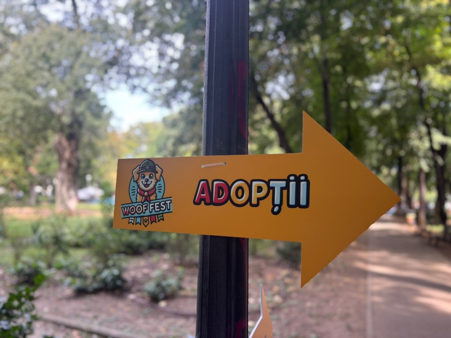 e926f970-5ae9-4c99-92f8-d004f0188f82