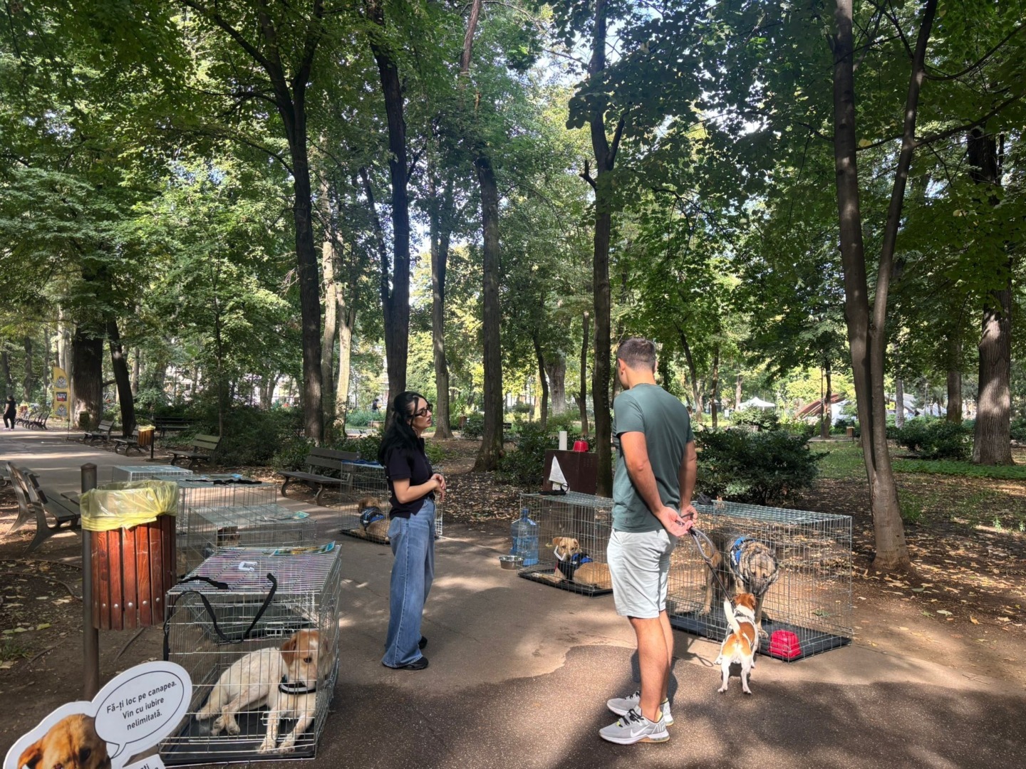 fbdaa9b1-9abc-4aad-86b2-be6d4962411c