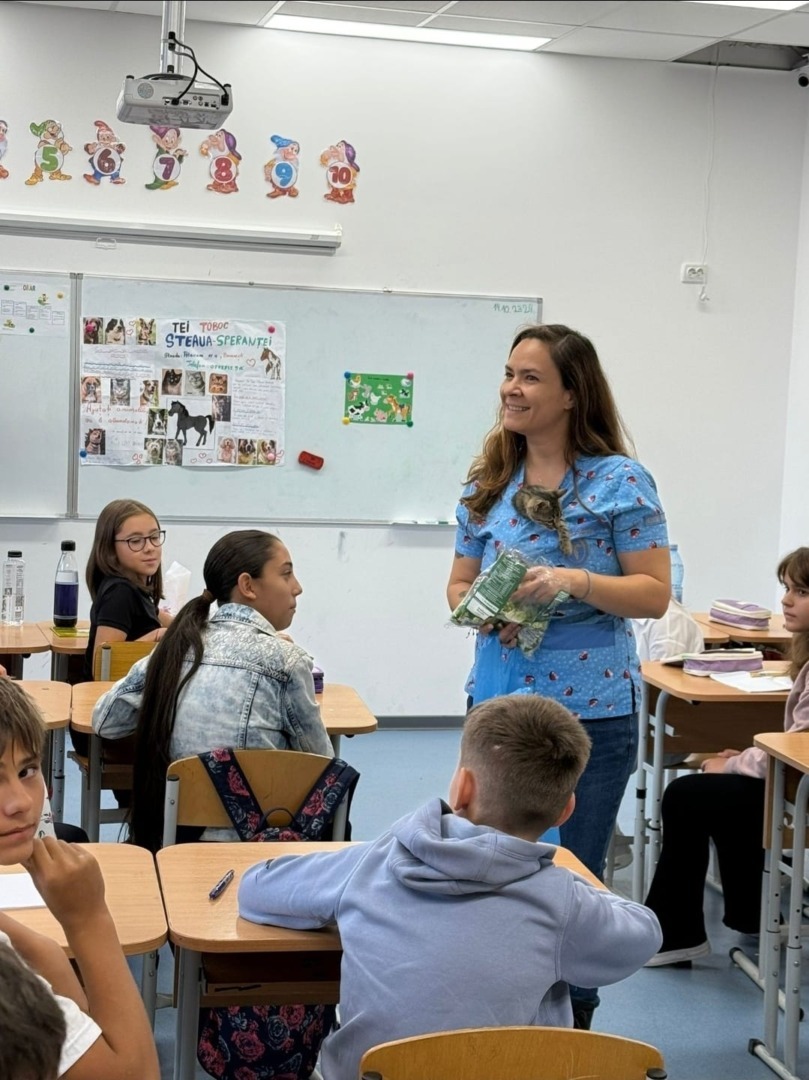 ff453bf3-3fa3-4534-a4eb-1c911de0dd64