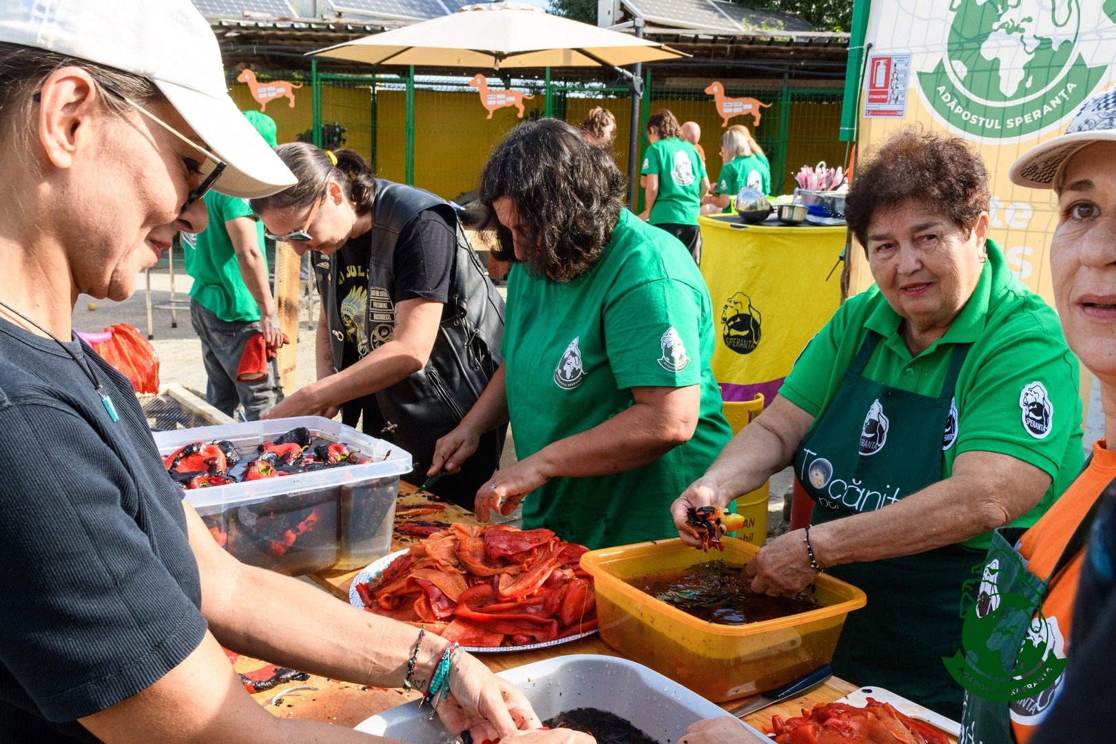 eveniment gatit zacusca adapostul speranta
