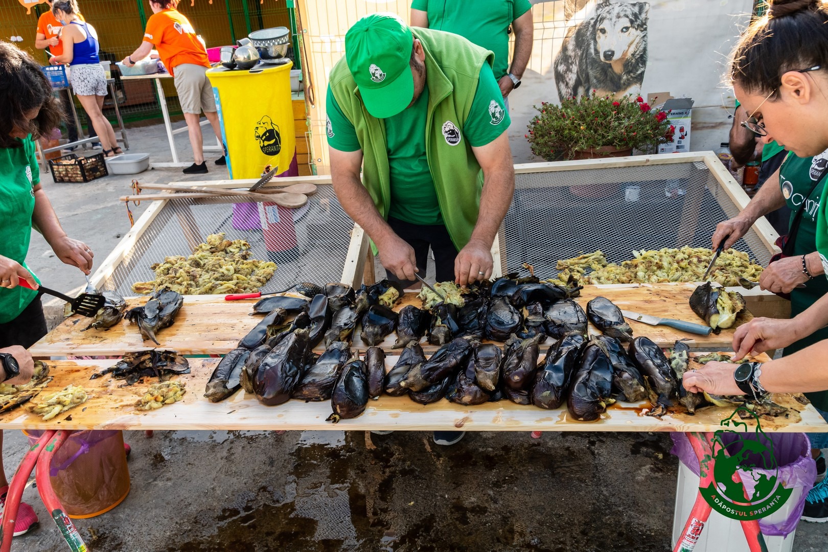 echipa adapostul speranta eveniment gatit