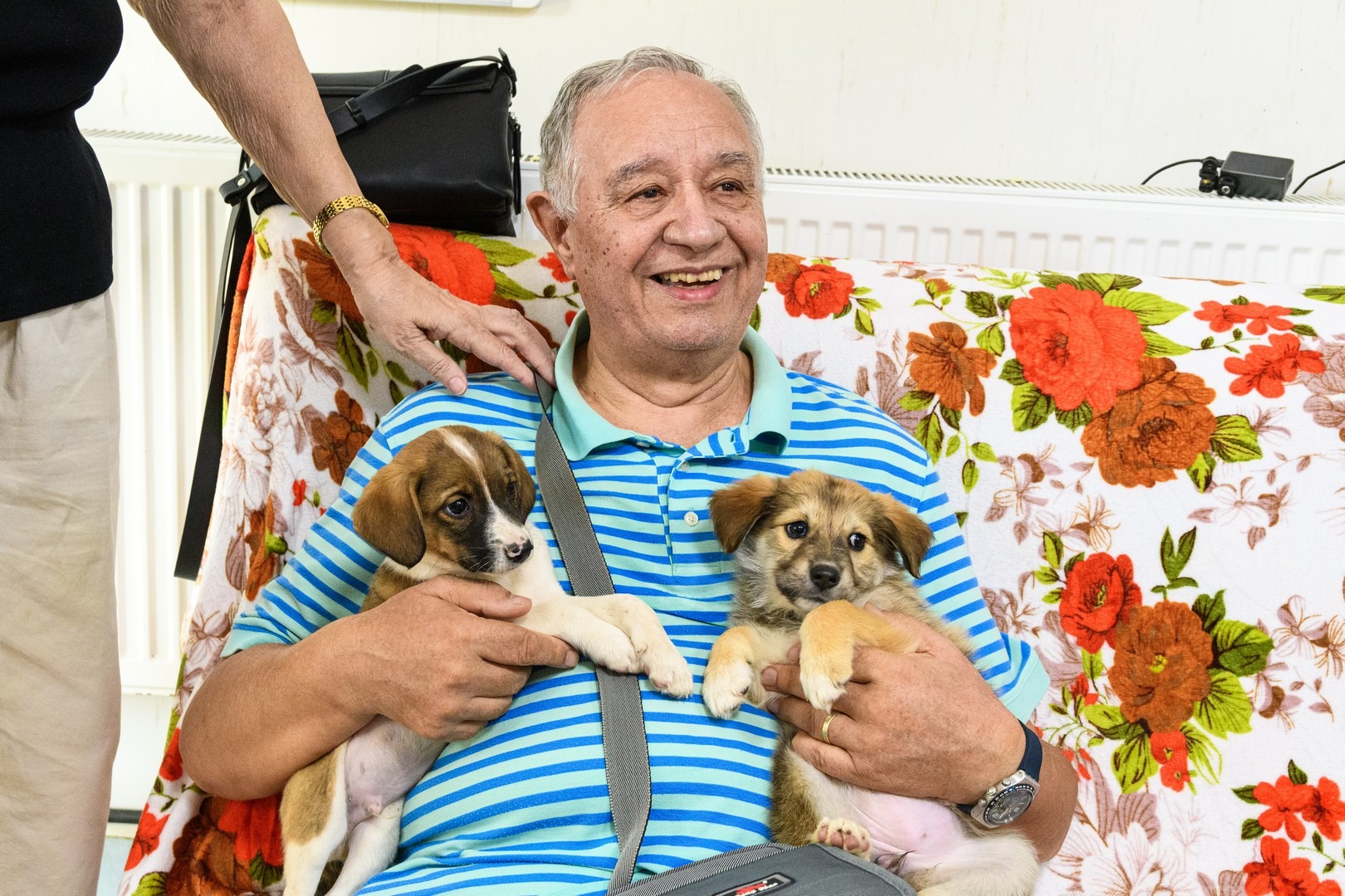 adoptie caini adapostul speranta