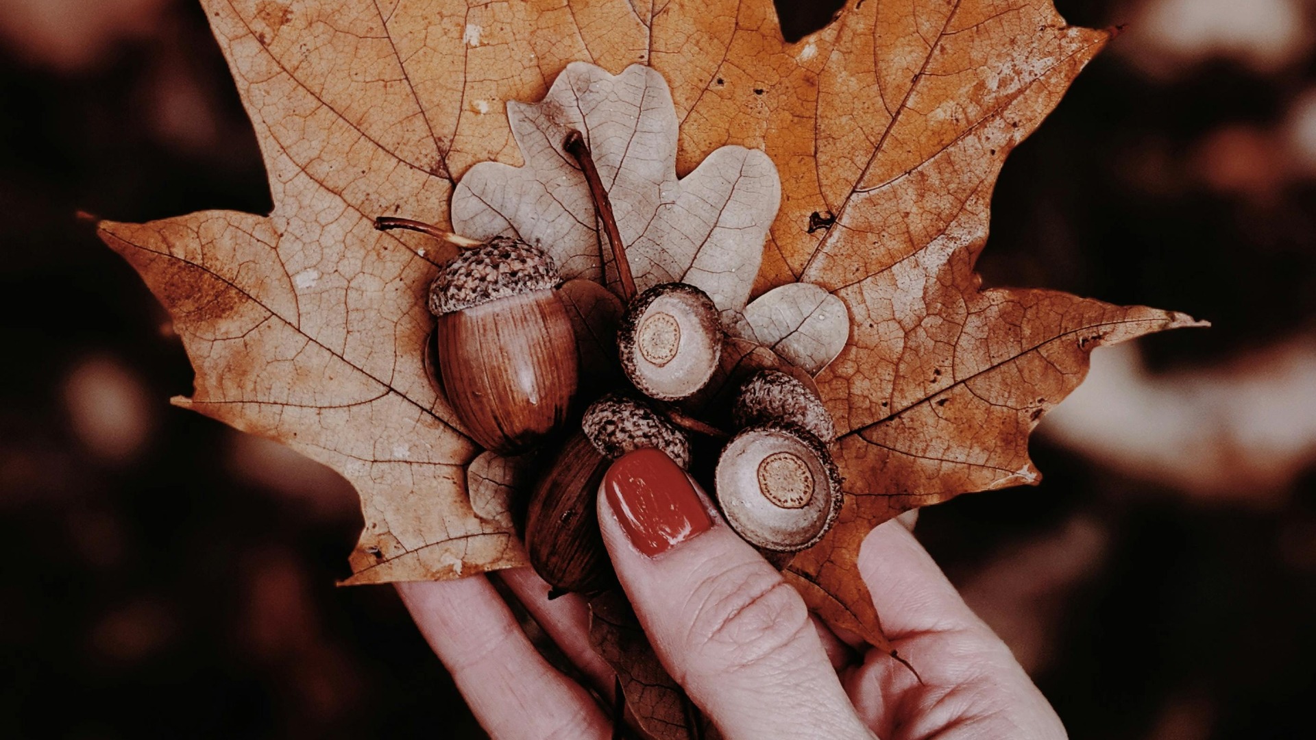 Ghidne care stau pe frunză.