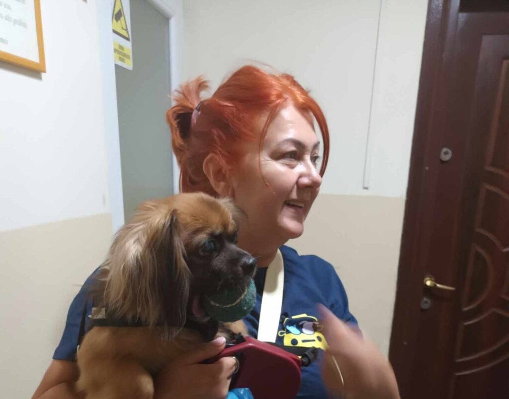 harmony-pet-claudia-tirlea