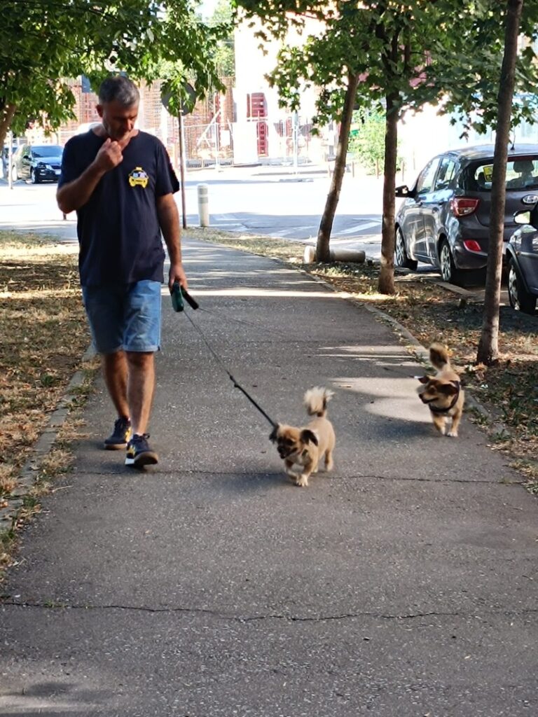 harmony-pet-services