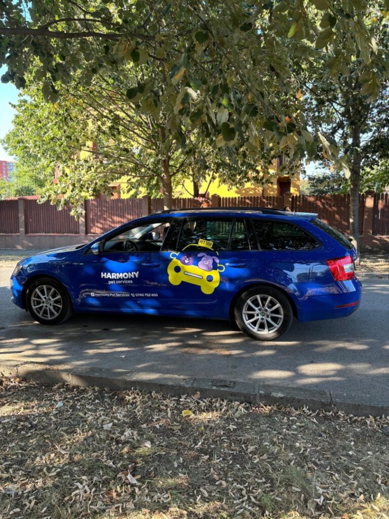 harmony-pet-taxi----